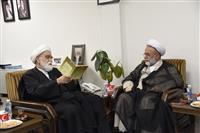 فرهنگ ایرانی-اسلامی را با ارائه خدمات نوع‌دوستانه در دنیا ترویج دهیم